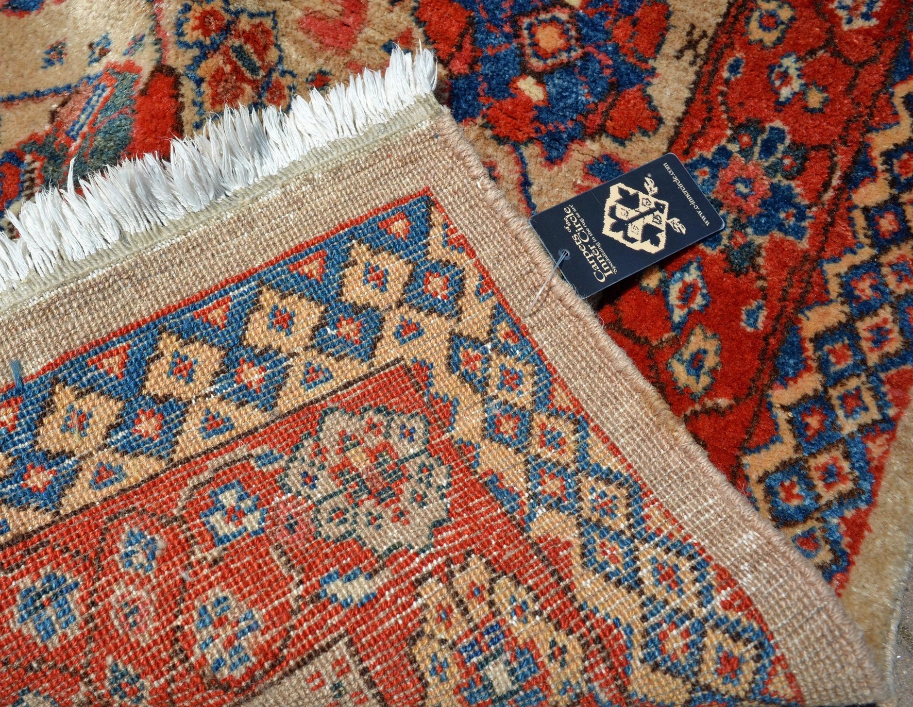 CC1229 Serab detail photo