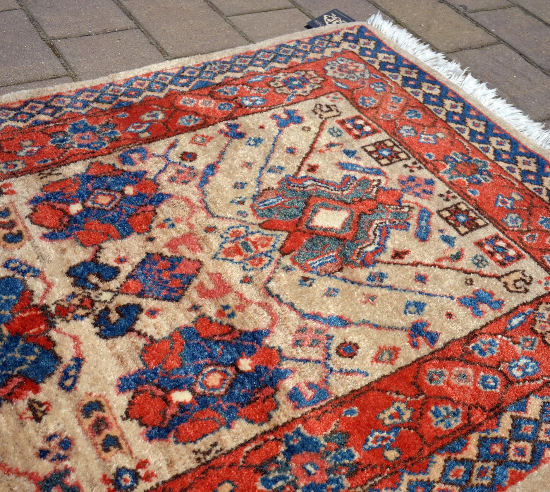CC1229 Serab detail photo