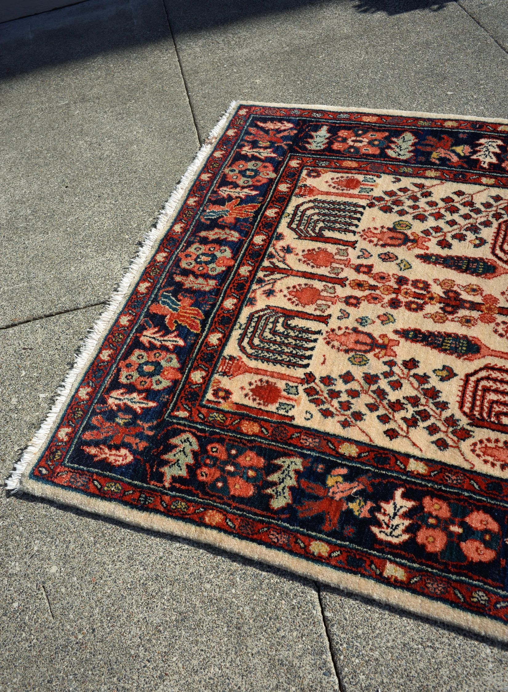 SN0827 Bidjar detail photo