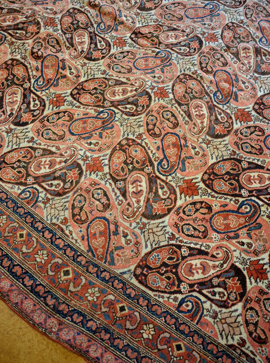 AP3195 Sennah detail photo
