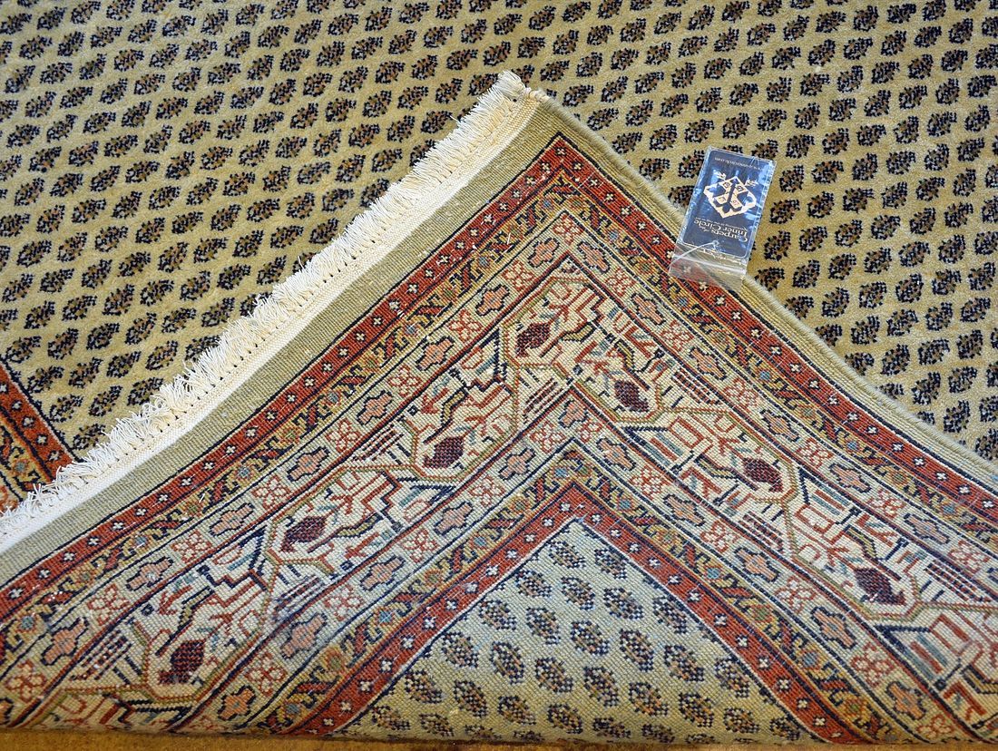 AS0216 Serraband detail photo