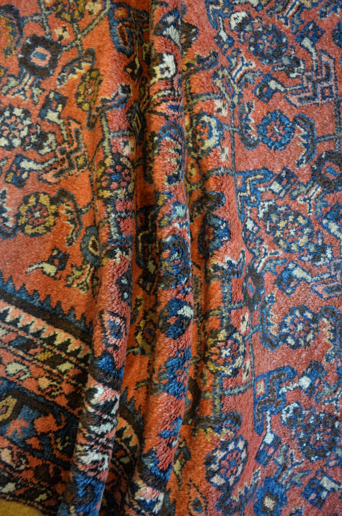 BF1121 Kurd detail photo