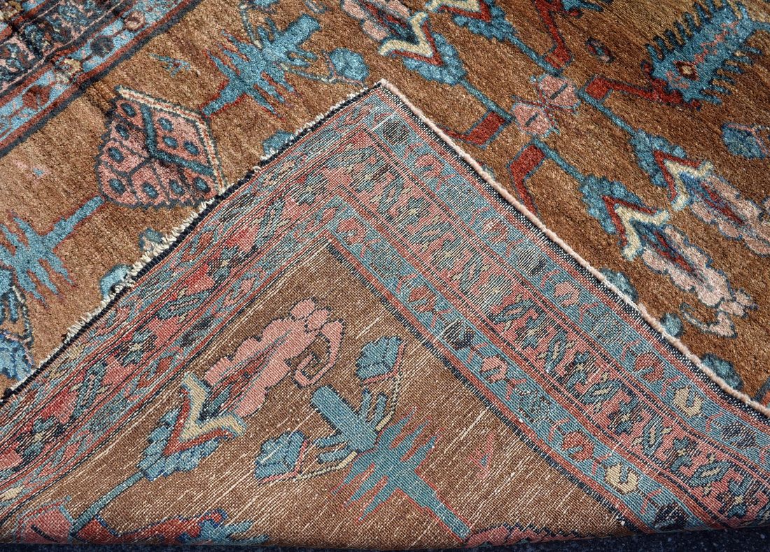 CC3307 Serab detail photo