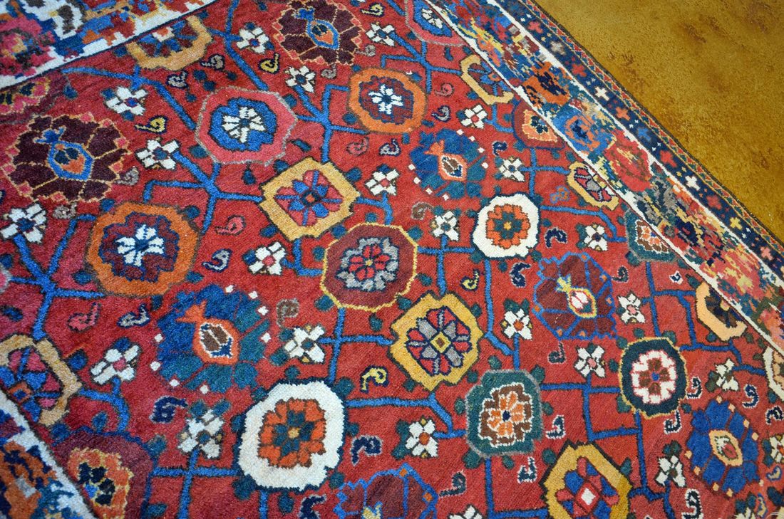 CR1111 Bakhtiari detail photo