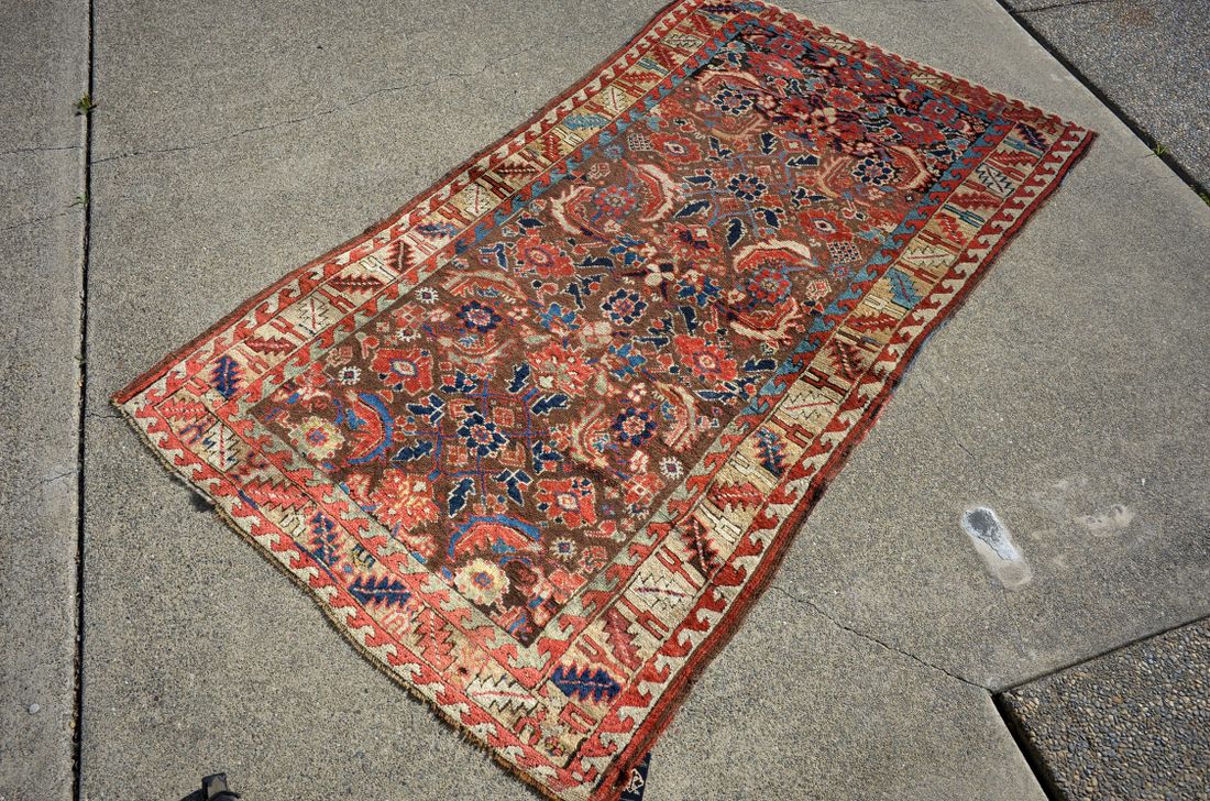 RT0019 Persian detail photo