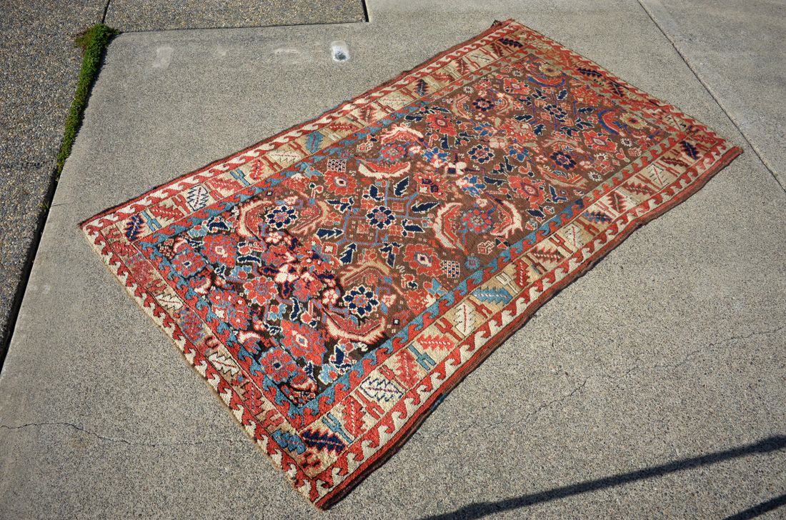 RT0019 Persian detail photo