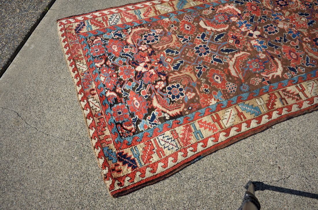 RT0019 Persian detail photo